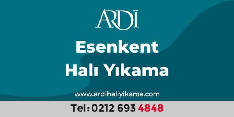 Esenkent Halı Yıkama