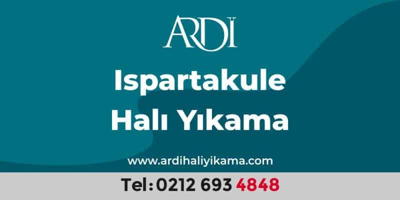 Ispartakule Halı Yıkama