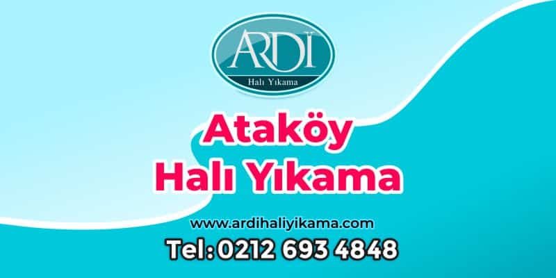 Ataköy Halı Yıkama